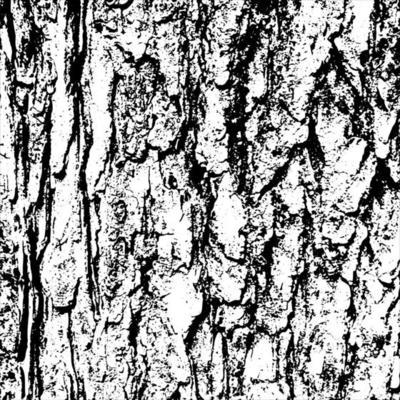 Abstract tree bark grunge texture background