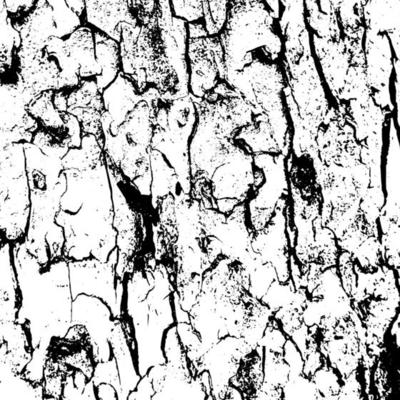 Abstract tree bark grunge texture background