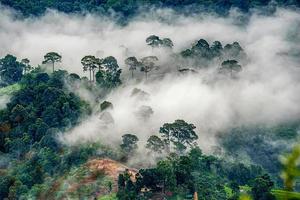 Misty morning sunrise at Doi Mon Ngao Viewpoint in Chiang mai,Thailand photo