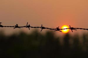 Barbed wire silhouette on sunset sky photo