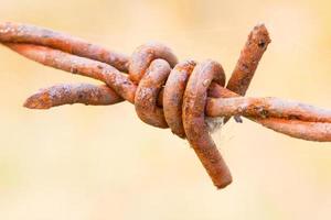 old rusty barbed wire closeup photo