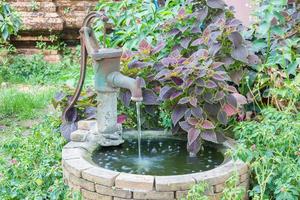 Antiguo pozo de agua con bomba de agua entre coloridas plantas