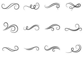 Swirl Calligraphy Illustration vector