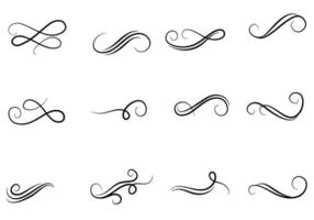 Swirl Calligraphy Illustration vector