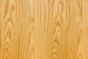 Wooden texture background old panels photo