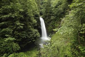 rize camlihemsin palovit falls, turquía, vista de cascada foto