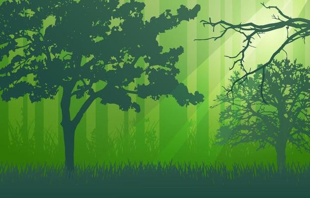 Forest Background Vector Art, Icons, and Graphics for Free Download
