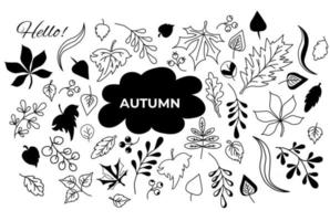 set of autumn Doodle of various leaves and berrie. outline, silhouette vector