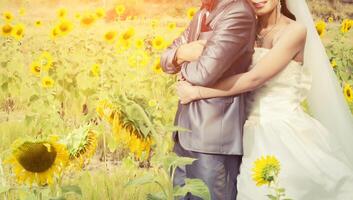 La novia y el novio se abrazan en el jardín de flores del sol foto