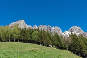 Montañas de piedra caliza italiana de los Alpes por encima de las plantas y el césped foto