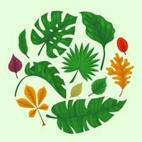Leaf Icon Collection vector