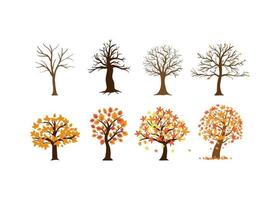 Autumn fall tree icon design template illustration vector