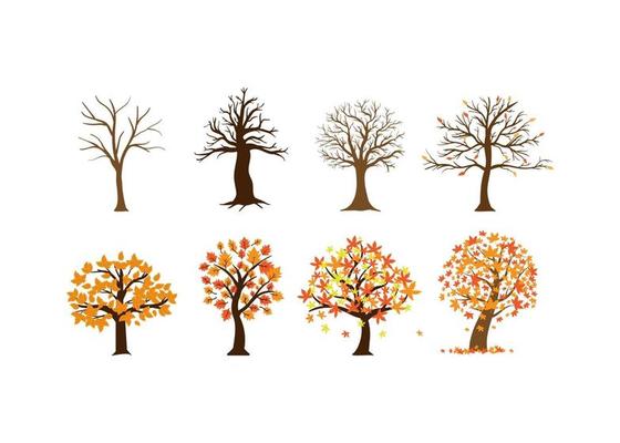Autumn fall tree icon design template illustration