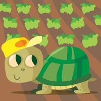 Tortoise with a baseball cap in a field of cabbages vector