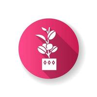 Ficus elastica pink flat design long shadow glyph icon vector