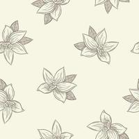 Engraved Vanilla Flowers in Vintage Style Seamless Pattern vector