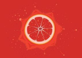 Grapefruit slice falls in juice splash vector illustration