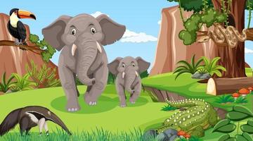 Elephant family with other wild animals in forest scene vector