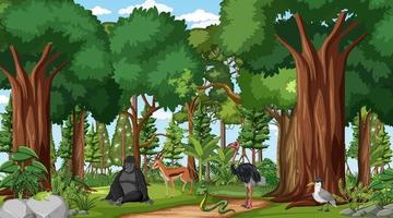 Forest scene with different wild animals vector