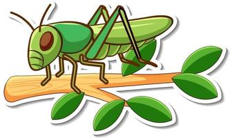 Cartoon character of grasshopper on a branch sticker vector