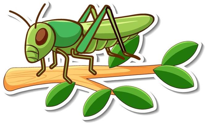 Cartoon character of grasshopper on a branch sticker