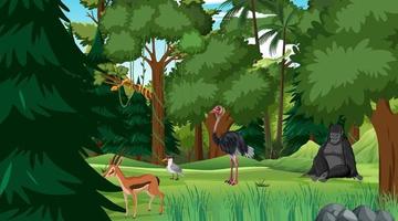 Rainforest at daytime scene with different wild animals vector