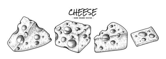 vector de boceto dibujado a mano colección de queso suizo