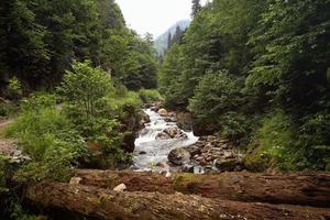 arroyo del pueblo de gatos rize del mar negro, turquía, vista de la meseta foto