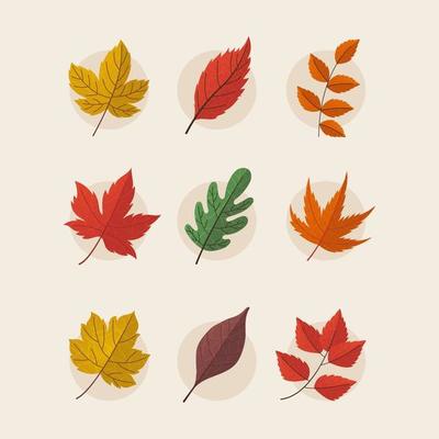 Autumn Leaf Vector Art, Icons, and Graphics for Free Download