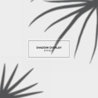 Plant shadow overlay effect on gray background vector