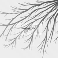 Plant shadow overlay effect on gray background vector