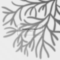 Plant shadow overlay effect on gray background vector