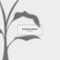 Plant shadow overlay effect on gray background vector