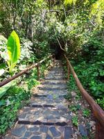 Foto vertical de escalones de hormigón en el parque con pasamanos