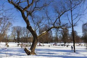 The largest Park in Prague Stromovka in the snowy Winter photo