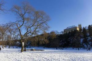 el parque más grande de praga stromovka en el invierno nevado foto