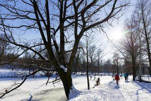 el parque más grande de praga stromovka en el invierno nevado foto