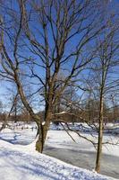 The largest Park in Prague Stromovka in the snowy Winter photo