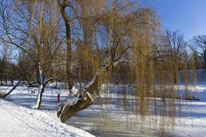 The largest Park in Prague Stromovka in the snowy Winter photo