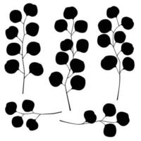 eucalyptus leaves and branches vector silhouettes