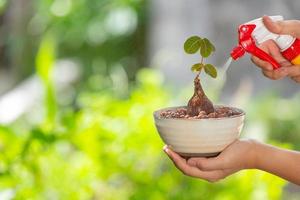 Girl gardener holding a water sprayer to water the plants photo