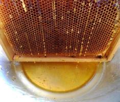 Background hexagon texture, wax honeycomb from a bee hive photo