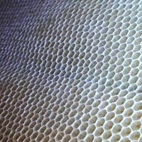 hexagon structure is honeycomb from bee hive filled with golden honey