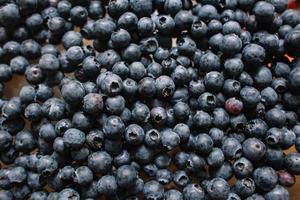 Blueberry. New harvest of blueberry. photo