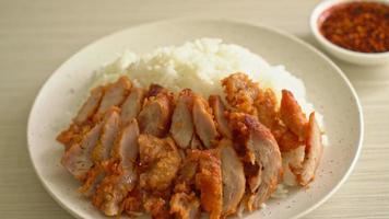 Fried pork topped on rice with spicy dipping sauce video