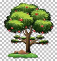 Apple tree background vector