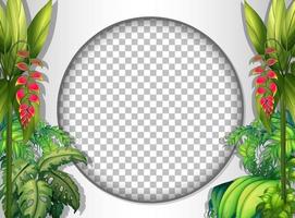 Round frame transparent with tropical leaves template vector