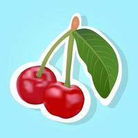 Cherry. Vector cartoon illustration.