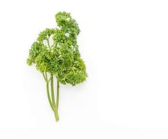 Fresh Parsley on white photo