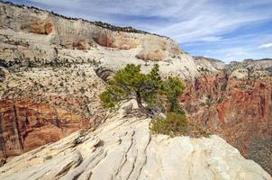 cresta expuesta en el país del cañón foto